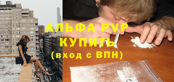 стаф Медногорск